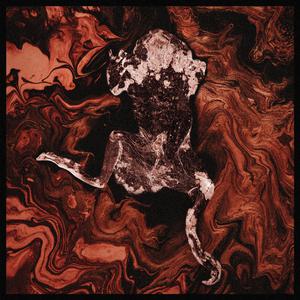 奖励小花园的视频
